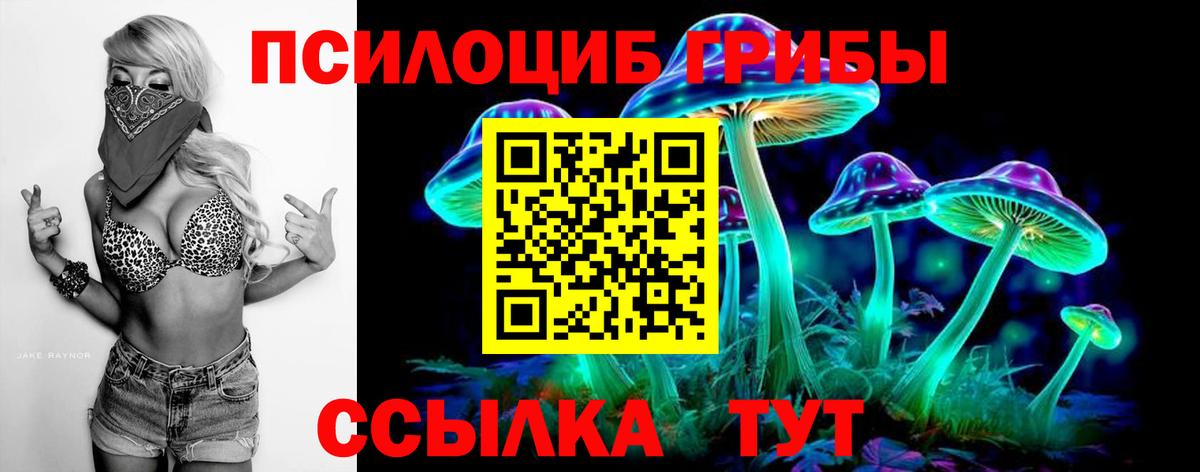 Псилоцибиновые грибы Magic Shrooms Узловая